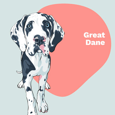 Great Dane Lovers | Lifestyle apparel, accessories, and home decor | Breed Style