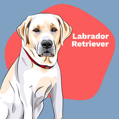 Labrador Retriever Lovers | Lifestyle apparel, accessories, and home decor | Breed Style