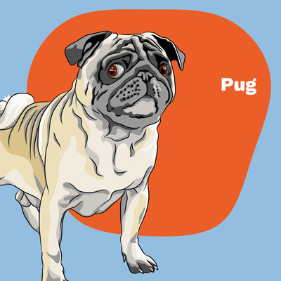 Pug Lovers | Lifestyle apparel, accessories, and home decor | Breed Style