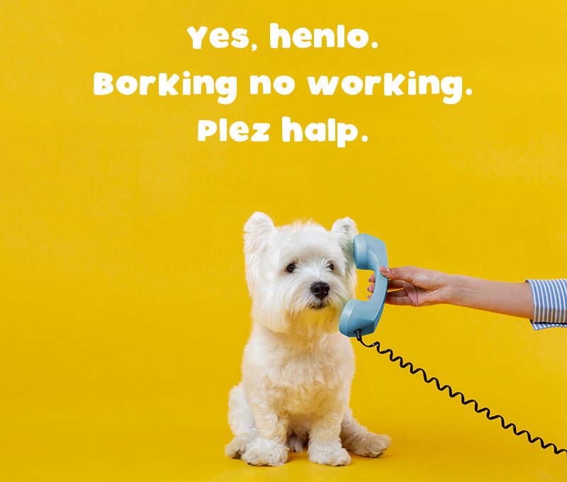 Shipping Insurance - $10