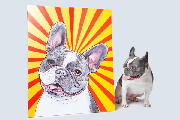 French bulldog staring at his custom pop art canvas portrait