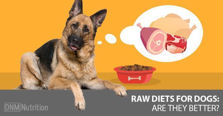 Raw Diet – What is a Raw Diet for Pups?
