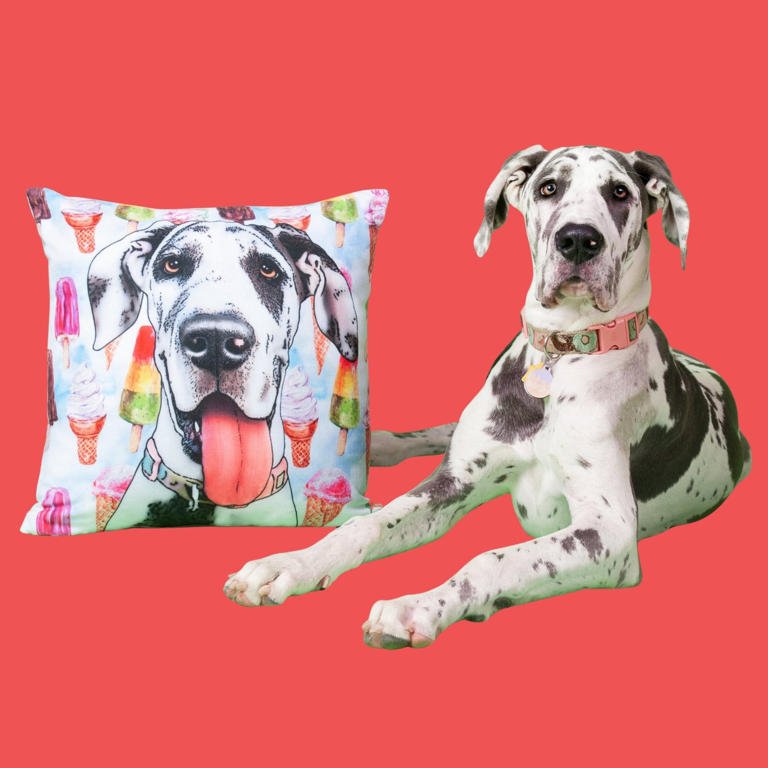 Accessories | Pop Your Pup!™