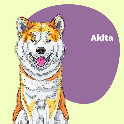 Akita Lovers | Lifestyle apparel, accessories, and home decor | Breed Style | Pop Your Pup!™