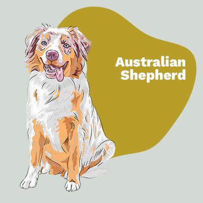 Australian Shepherd Lovers | Breed Style by Pop Your Pup | Pop Your Pup!™