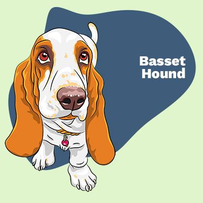 Basset Hound Lovers | Lifestyle apparel, accessories, and home decor | Breed Style | Pop Your Pup!™