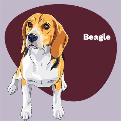 Beagle Lovers | Lifestyle apparel, accessories, and home decor | Breed Style | Pop Your Pup!™