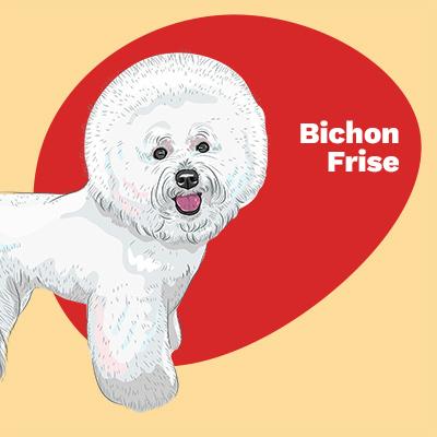 Bichon Frise Lovers | Lifestyle apparel, accessories, and home decor | Breed Style | Pop Your Pup!™
