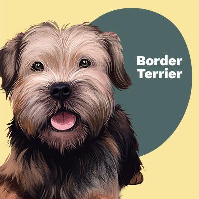 Border Terrier Lovers | Lifestyle apparel, accessories, and home decor | Breed Style | Pop Your Pup!™