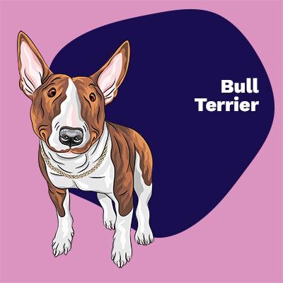 Bull Terrier Lovers | Breed Style by Pop Your Pup | Pop Your Pup!™