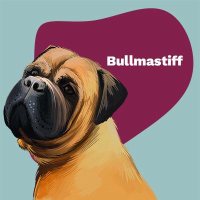 Bullmastiff Lovers | Lifestyle apparel, accessories, and home decor | Breed Style | Pop Your Pup!™