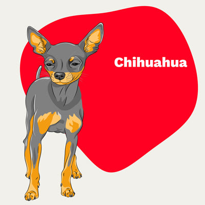 Chihuahua Lovers | Lifestyle apparel, accessories, and home decor | Breed Style