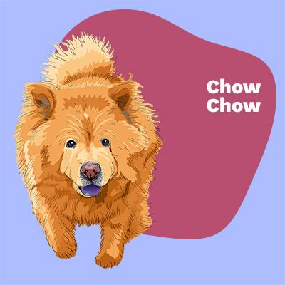 Chow Chow Lovers | Lifestyle apparel, accessories, and home decor | Breed Style | Pop Your Pup!™