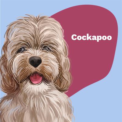 Cockapoo Lovers | Lifestyle apparel, accessories, and home decor | Breed Style | Pop Your Pup!™