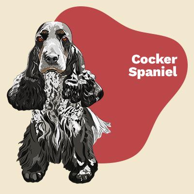 Cocker Spaniel Lovers | Lifestyle apparel, accessories, and home decor | Breed Style | Pop Your Pup!™