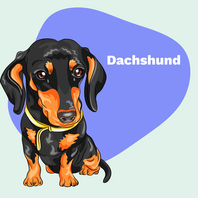Dachshund Lovers | Lifestyle apparel, accessories, and home decor | Breed Style