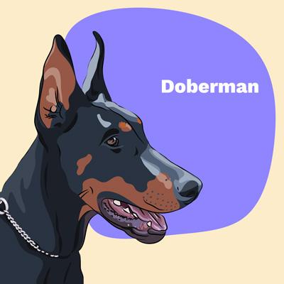 Doberman Lovers | Lifestyle apparel, accessories, and home decor | Pop Your Pup!™