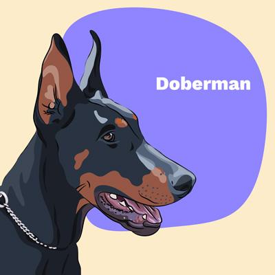 Doberman Lovers | Lifestyle apparel, accessories, and home decor | Breed Style