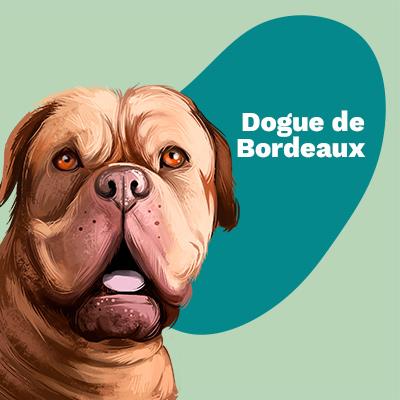 Dogue De Bordeaux Lovers | Lifestyle apparel, accessories, and home decor | Breed Style | Pop Your Pup!™