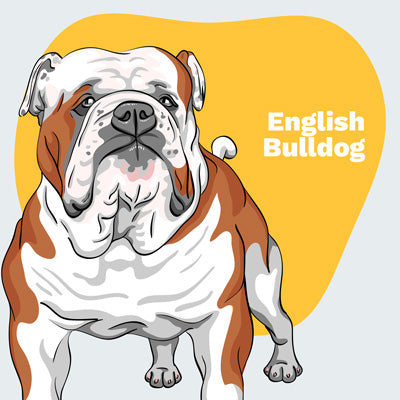 English Bulldog Lovers | Lifestyle apparel, accessories, and home decor | Breed Style