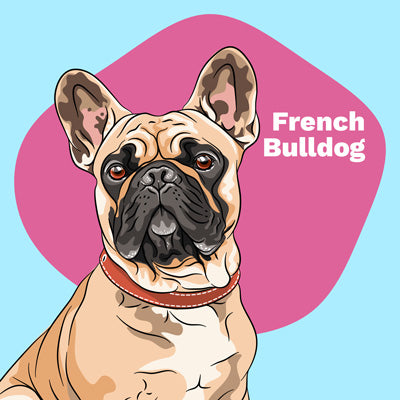 French Bulldog Lovers | Lifestyle apparel, accessories, and home decor | Breed Style