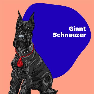 Giant Schnauzer Lovers | Lifestyle apparel, accessories, and home decor | Breed Style | Pop Your Pup!™
