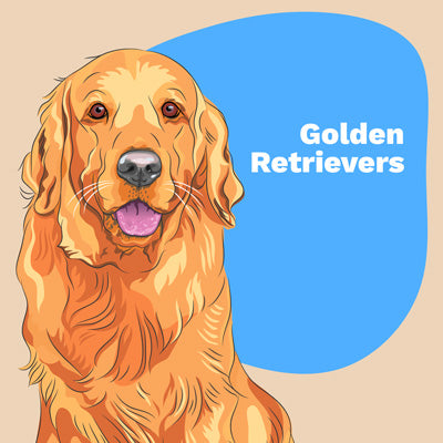 Golden Retriever Lovers | Lifestyle apparel, accessories, and home decor | Breed Style