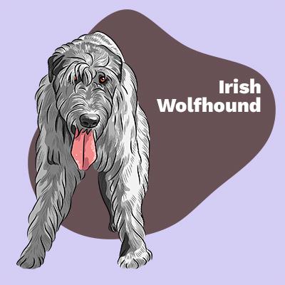 Irish Wolfhound Lovers | Lifestyle apparel, accessories, and home decor | Breed Style | Pop Your Pup!™