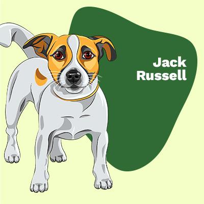 Jack Russell Lovers | Lifestyle apparel, accessories, and home decor | Breed Style | Pop Your Pup!™