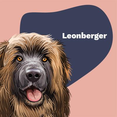 Leonberger Lovers | Lifestyle apparel, accessories, and home decor | Breed Style | Pop Your Pup!™