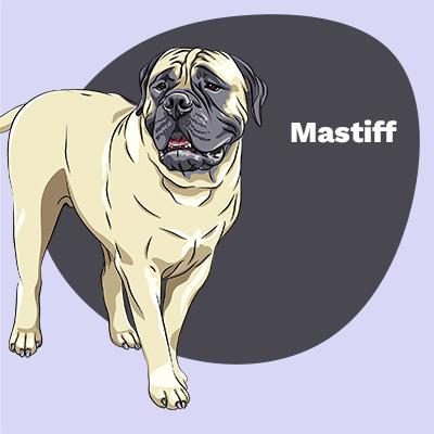 Mastiff Lovers | Lifestyle apparel, accessories, and home decor | Breed Style | Pop Your Pup!™