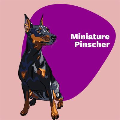 Miniature Pinscher Lovers | Lifestyle apparel, accessories, and home decor | Breed Style | Pop Your Pup!™