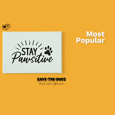 Most Popular | Pop Your Pup!™