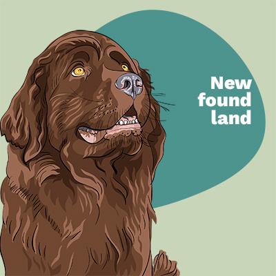 Newfoundland Lovers | Lifestyle apparel, accessories, and home decor | Breed Style | Pop Your Pup!™