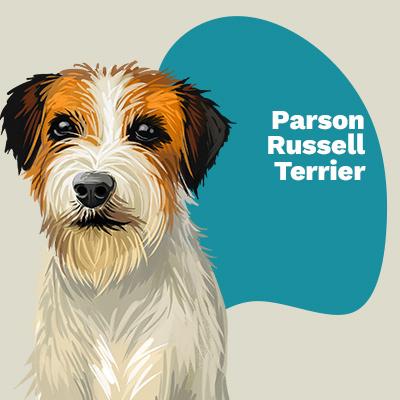 Parson Russell Terrier Lovers | Lifestyle apparel, accessories, and home decor | Breed Style | Pop Your Pup!™