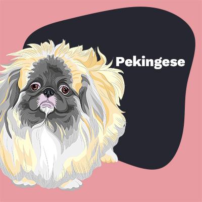 Pekingese Lovers | Lifestyle apparel, accessories, and home decor | Breed Style | Pop Your Pup!™
