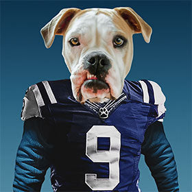 Pet Icon - Athletes | Pop Your Pup!™