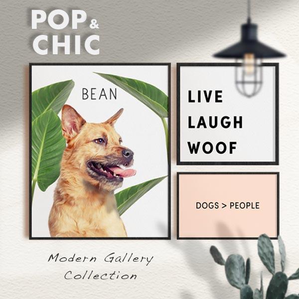 Pop Chic - Premium Gallery Sets | Pop Your Pup!™