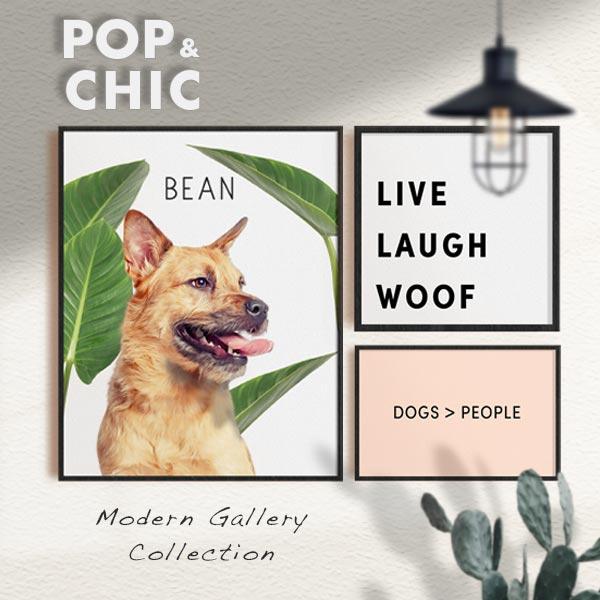Pop Chic - Premium Gallery Sets