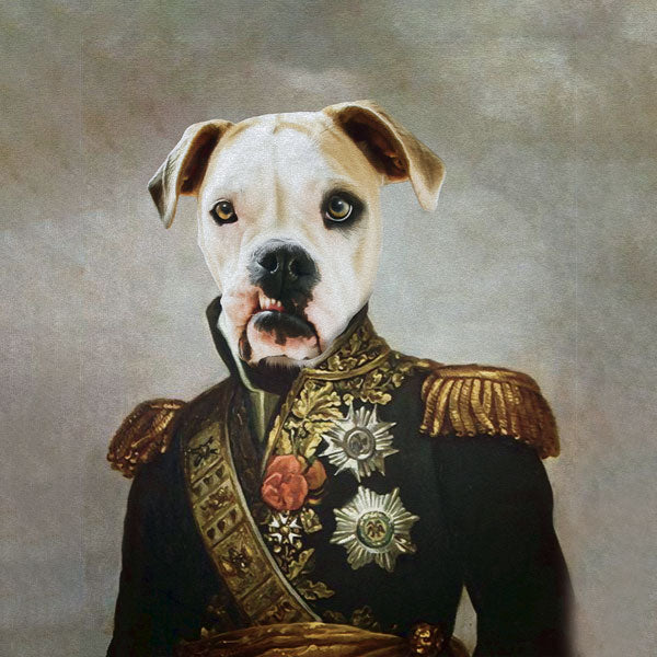 pet icon pitbull renaissance art