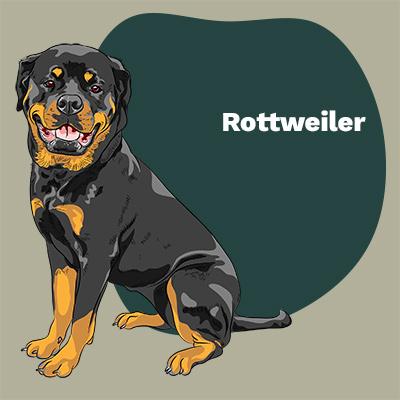 Rottweiler lovers | Breed Style by Pop Your Pup | Pop Your Pup!™