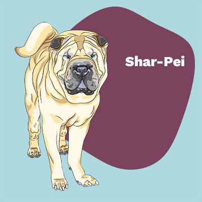 Shar-Pei Lovers | Lifestyle apparel, accessories, and home decor | Breed Style | Pop Your Pup!™