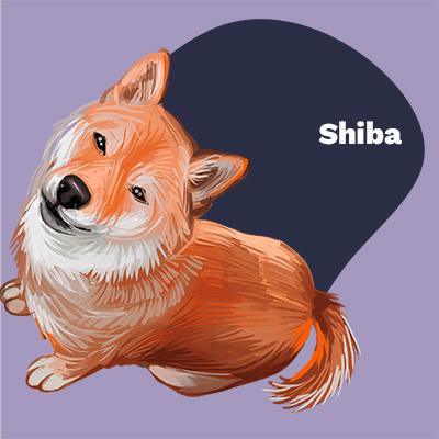 Shiba Lovers | Lifestyle apparel, accessories, and home decor | Breed Style | Pop Your Pup!™