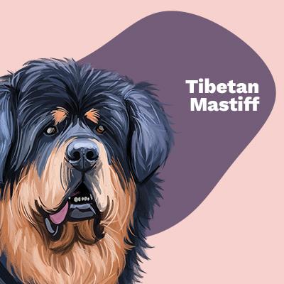 Tibetan Mastiff Lovers | Lifestyle apparel, accessories, and home decor | Breed Style | Pop Your Pup!™
