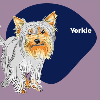 Yorkie Lovers | Lifestyle apparel, accessories, and home decor | Breed Style | Pop Your Pup!™