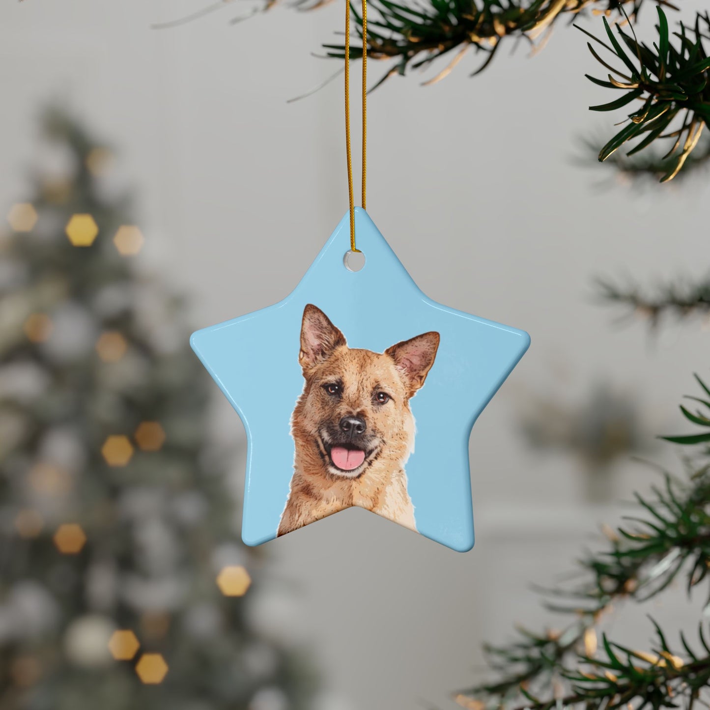 Custom Pet Art Holiday Ornaments