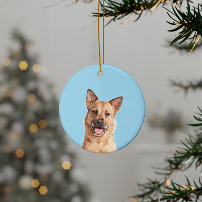 Original Pet Pop Art Holiday Ornaments