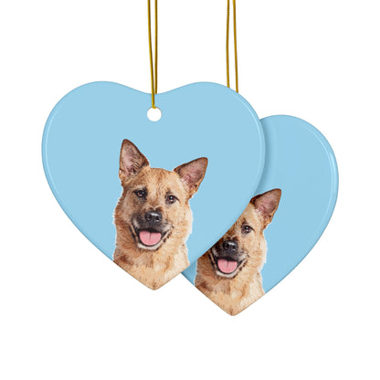 Custom Pet Art Holiday Ornaments