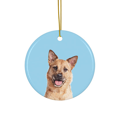 Original Pet Pop Art Holiday Ornaments