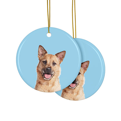 Custom Pet Art Holiday Ornaments